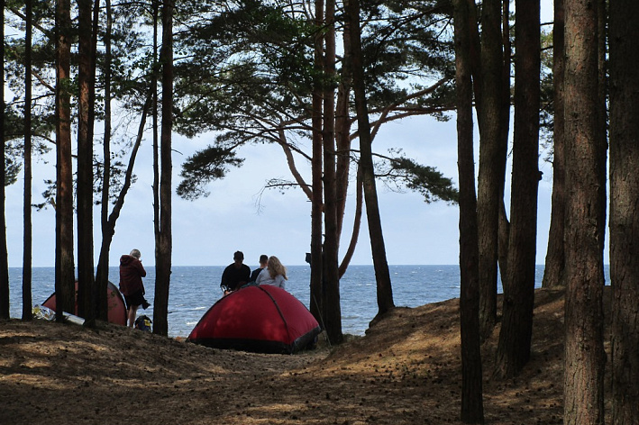 В документы о парках и скверах Соснового Бора городские депутаты внесли поправки