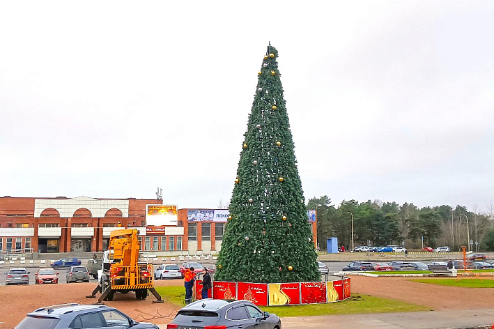 В Сосновом Бору установили новогодние ели. Чем еще украсят город к праздникам