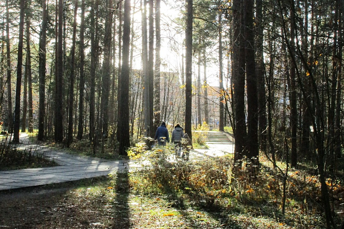 В Петербурге и Ленобласти  с 10 ноября станет еще теплее