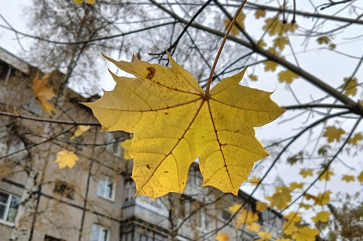 Осенняя уборка: последние штрихи. Коммунальщики Соснового Бора готовятся к зимнему сезону