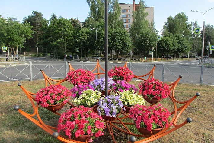 Для украшения Соснового Бора закупят 46 тысяч цветов