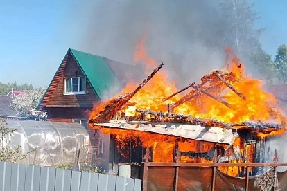 В Сосновом Бору огонь уничтожил сарай на дачном участке