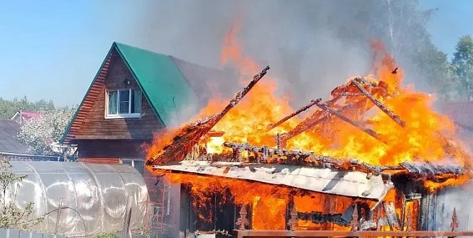 В Сосновом Бору огонь уничтожил сарай на дачном участке
