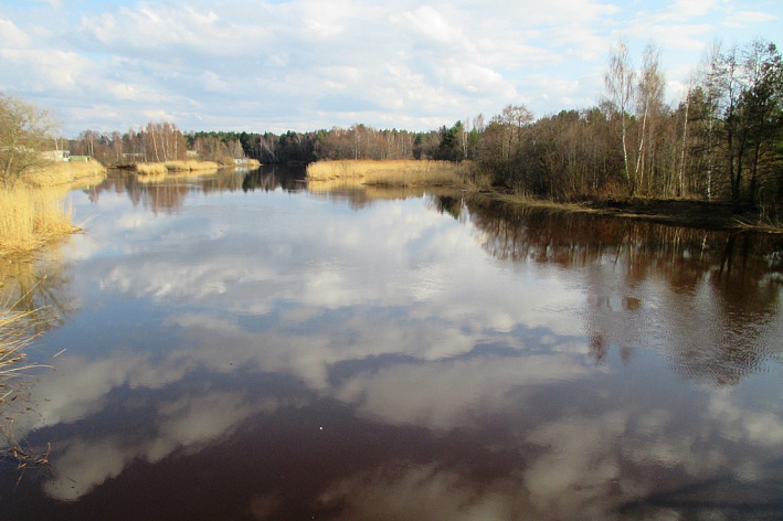 Какой будет погода в Санкт-Петербурге и Ленобласти в апреле-2026 