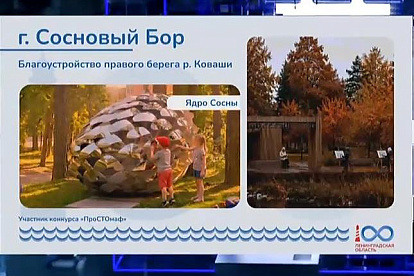 Глава комитета ЖКХ Ленобласти рассказал о подготовке к 100-летию региона и хороших примерах