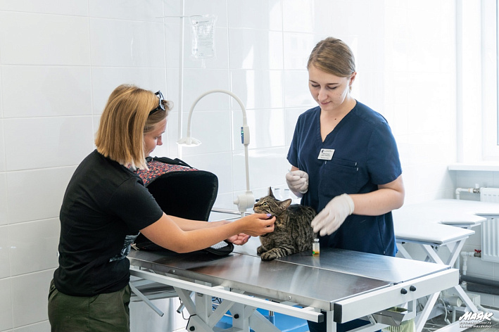 Сосновоборцам напомнили об обязательной вакцинации домашних животных от бешенства