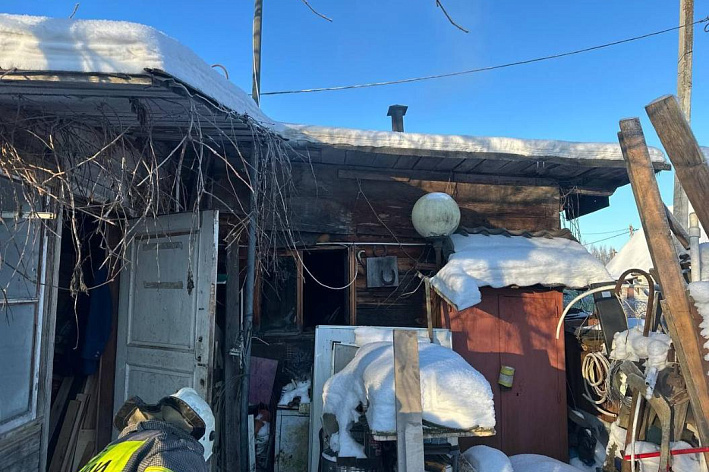 В деревне Новое Калище в результате пожара погибли три кошки