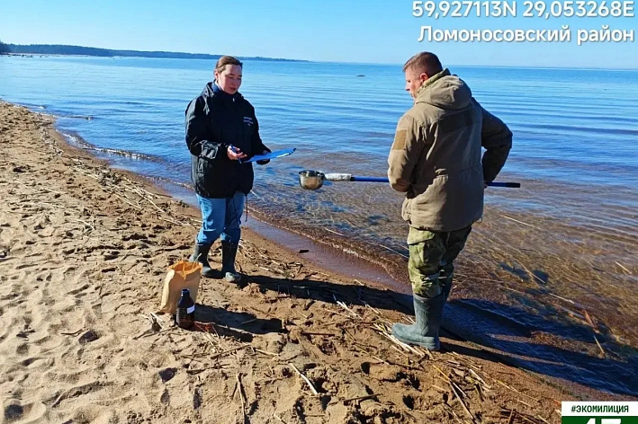 Эконадзор: «Ситуация в Липово под контролем председателя»