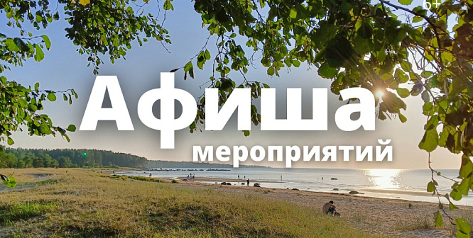 Афиша выходного дня: куда сходить в Сосновом Бору 14-16 августа