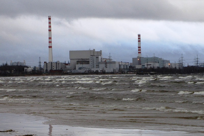 В правительстве Ленобласти отклонили законопроект о 50-процентной скидке на электроэнергию для жителей Соснового Бора