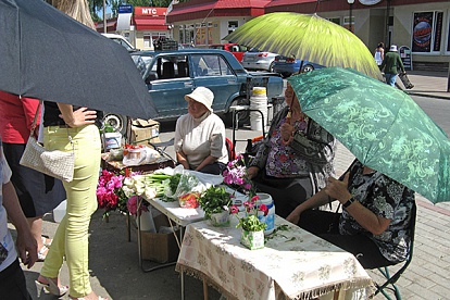«Что плохого делает бабушка,  продавая свои яблоки?» или Почему городу  нужна цивилизованная уличная торговля