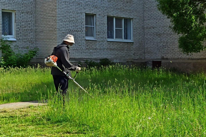 В Сосновом Бору косят траву и готовят пляжи к лету