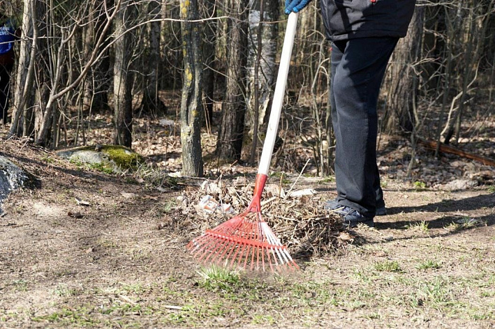 С пляжей в Сосновом Бору убрали тину и тростник, почистили дорожки, габионы и лестницу