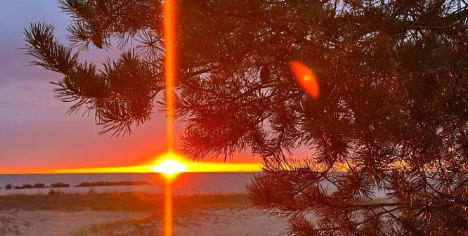 Ленинградская АЭС объявила победителей фотоконкурса «Мы — с природой!»