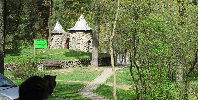 100-летие Ленобласти хотят отразить в благоустройстве районов и в Сосновом Бору