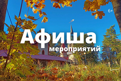 Афиша выходного дня: куда сходить в Сосновом Бору 10-12 октября