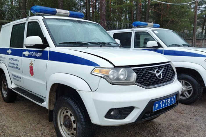 Полицейскими Соснового Бора задержан подозреваемый в краже ювелирных изделий из квартиры