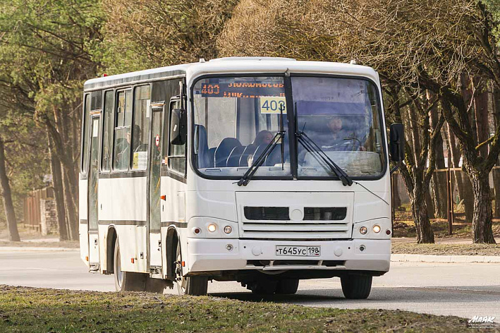Автобусный маршрут № 403 «Сосновый Бор — Санкт-Петербург» возобновит работу с 21 марта