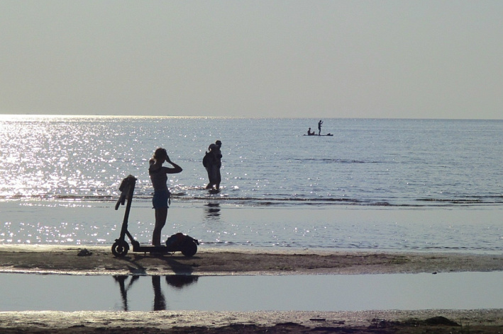 Вода на пляжах Соснового Бора безопасна для купания