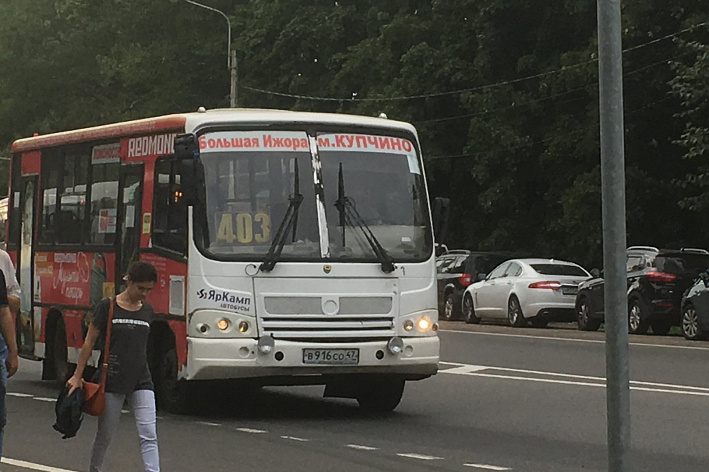 Автобус №403 «Сосновый Бор – Купчино» временно изменит маршрут движения