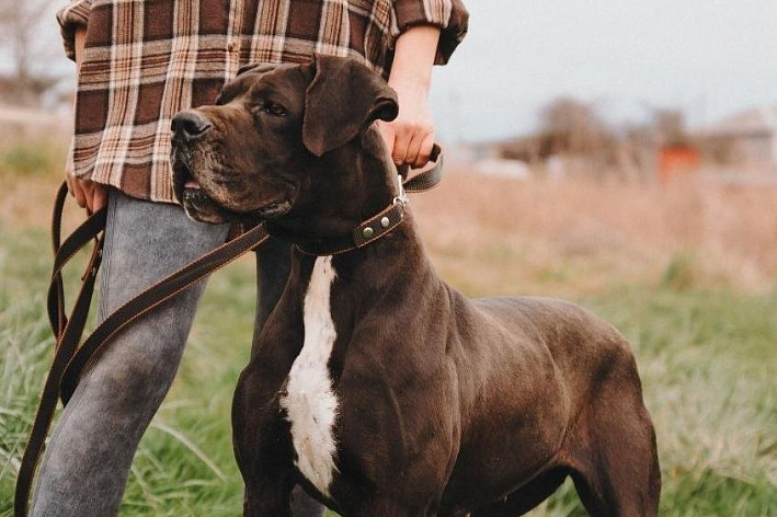 Маркиза из Сочи ищет свою семью