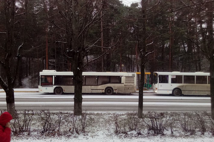 Михаил Воронков назвал недопустимыми срывы автобусных рейсов в Сосновом Бору