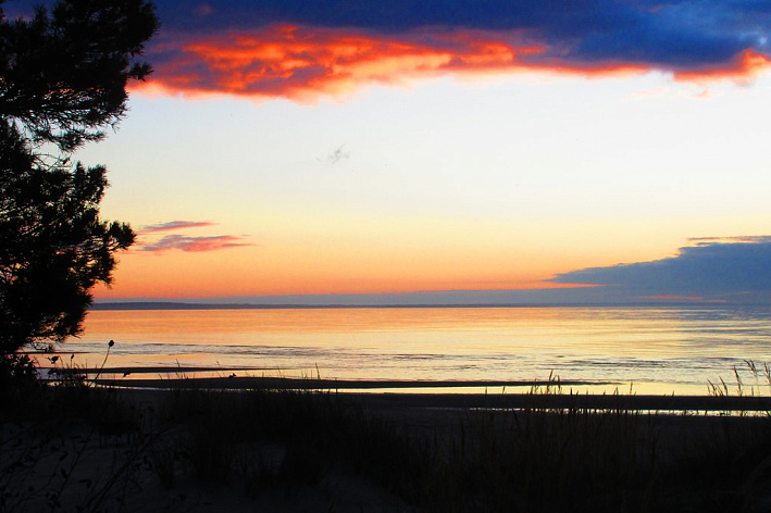 Свалку, источающую тяжелые металлы, нашли на южном берегу Финского залива