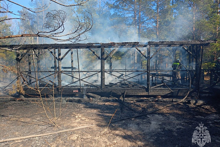 В Сосновом Бору огонь уничтожил две хозяйственные постройки на берегу залива