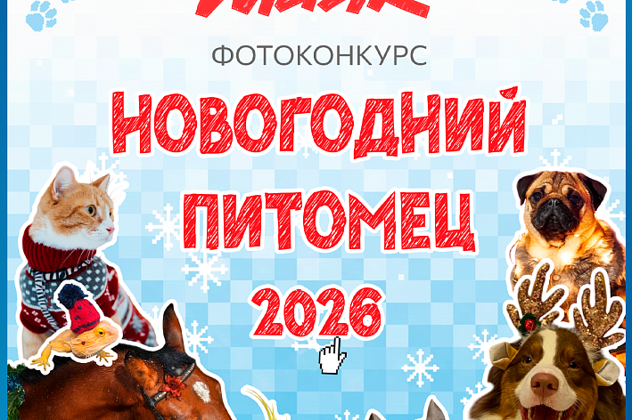 «Новогодний питомец — 2026». «Маяк» объявляет ежегодный фотоконкурс с призами