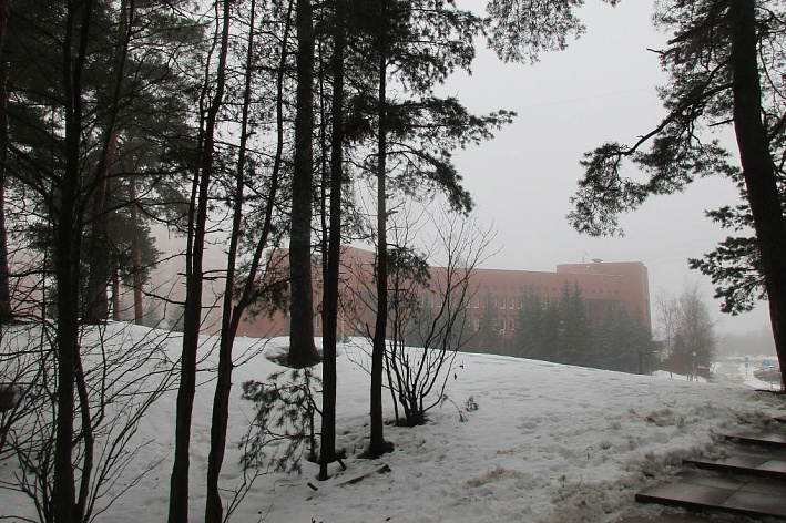 Какая погода будет в марте 2026 года в Петербурге и Ленинградской области