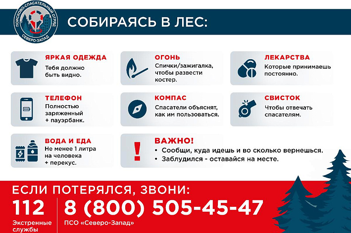 Сезон тихой охоты открыт: спасатели напоминают, как не стать пропавшим без вести