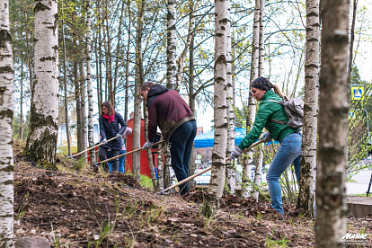 Субботники в Сосновом Бору добавили на интерактивную карту. Как присоединиться к общегородской акции