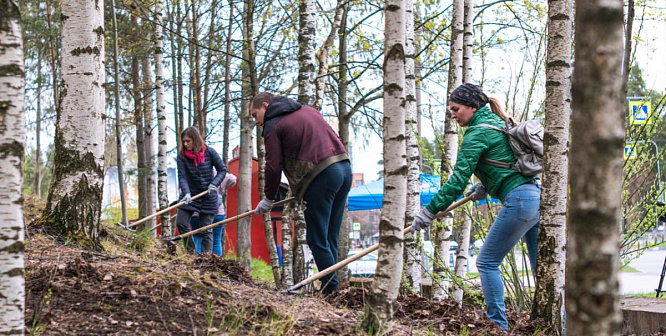 Субботники в Сосновом Бору добавили на интерактивную карту. Как присоединиться к общегородской акции