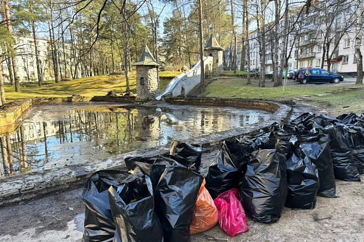 Сосновому Бору сделали подарок. Энтузиасты провели субботник в Малой Копорской крепости