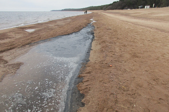 "Разлива нефти не зафиксировано" - эконадзор разбирается с загрязнением на берегу Финского залива