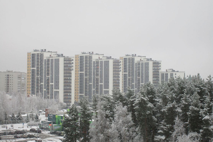 В Сосновом Бору действует более 20 торговых сетей