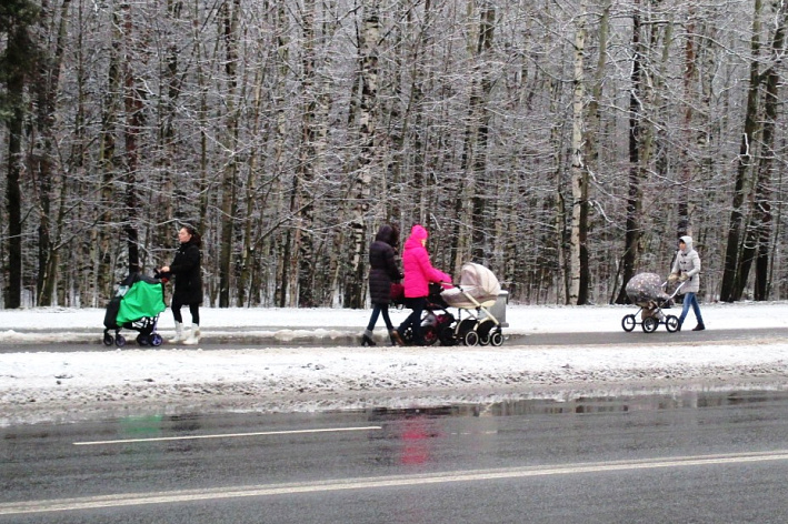 В Сосновом Бору снизился показатель рождаемости