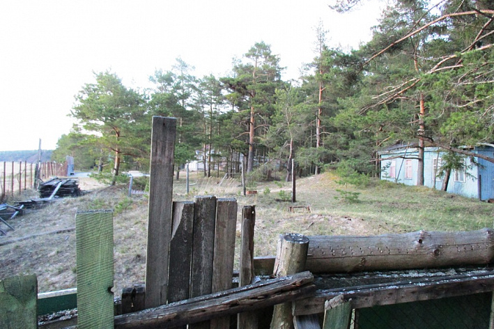 В реконструкцию лагеря «Чайка» в Сосновом Бору инвестируют почти миллиард рублей 