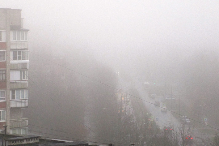 Сосновый Бор накрыл густой ноябрьский туман