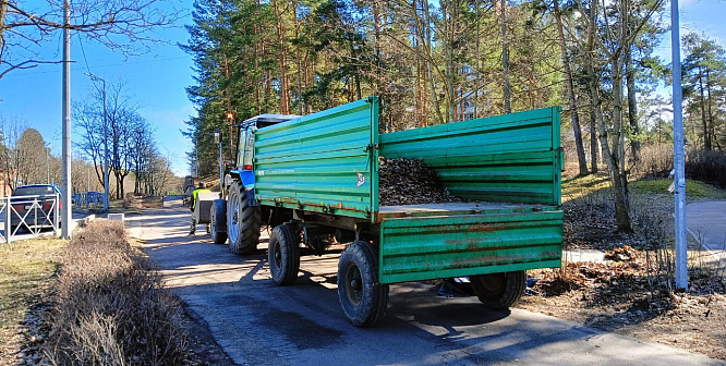 О ремонте дорог и листьях в контейнерах: коммунальные заботы недели в Сосновом Бору