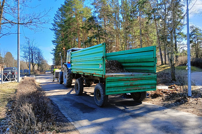 О ремонте дорог и листьях в контейнерах: коммунальные заботы недели в Сосновом Бору