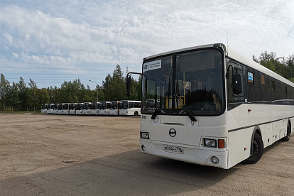 В Питер - с комфортом: новый перевозчик показал, какими теперь будут автобусы №401 и №402