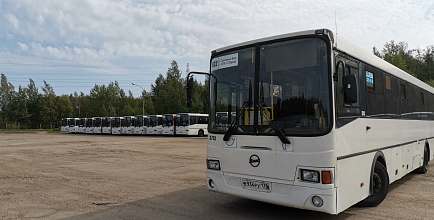 В Питер - с комфортом: новый перевозчик показал, какими теперь будут автобусы №401 и №402