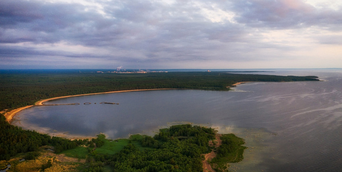 Садоводство «Строитель» получило областную субсидию на развитие инфраструктуры СНТ