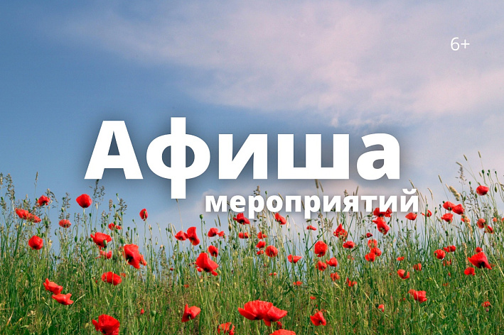 День Победы и Бессмертный полк. Куда сходить в Сосновом Бору 8-11 мая