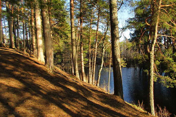 Это странное имя «Глуховка». Загадки русла сосновоборской малой речки