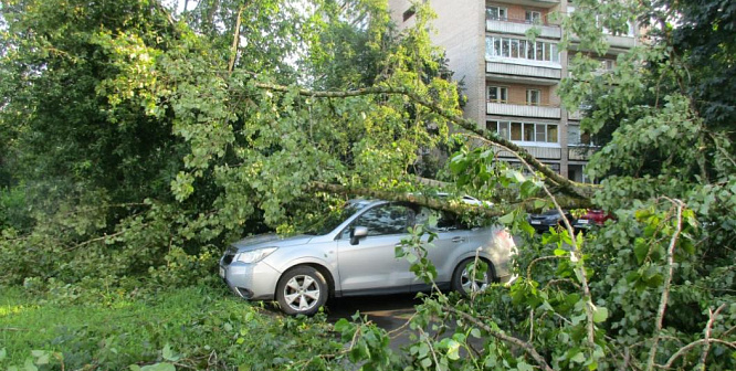 Ураган 11 июля в Сосновом Бору: хроника событий и ликвидации последствий
