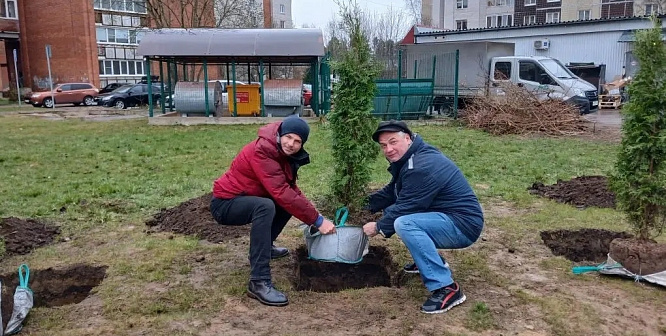 Тёплое событие. В ходе субботника на улице Парковой в Сосновом Бору высадили деревья