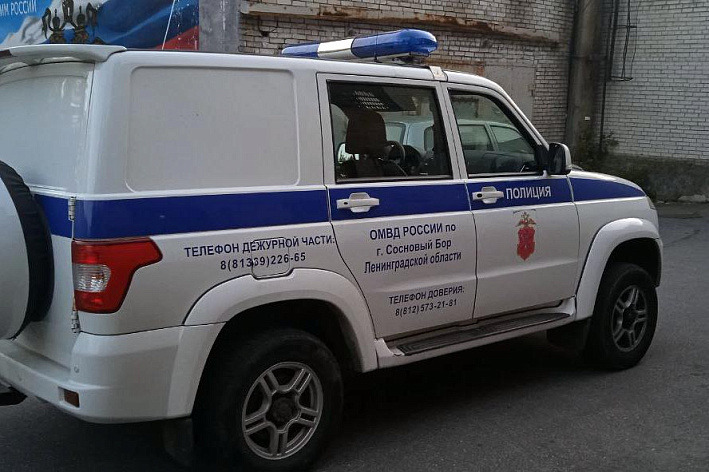 Полицейские Соснового Бора задержали подозреваемого в хищении средств с банковской карты