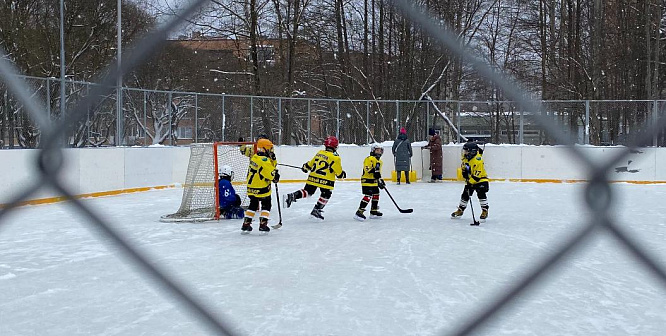 В Сосновом Бору прошёл всероссийский День русского дворового хоккея